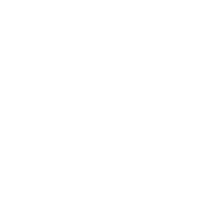 DIGITAL MANAGEMENT